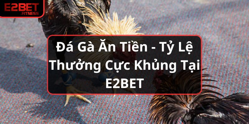 Đá Gà Ăn Tiền - Tỷ Lệ Thưởng Cực Khủng Tại E2BET