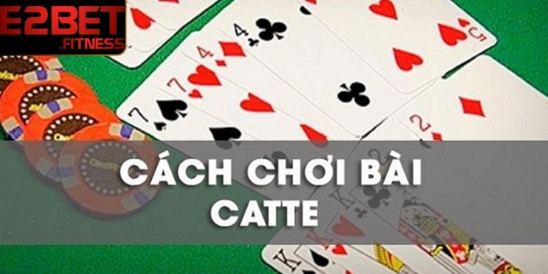 Vòng chơi game bài Catte